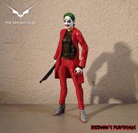 Harley Quinn  -  Dark Knight Style  -  'the Arkham Files'  #08 (Dark Knight) Custom Action Figure