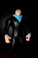 Bruce Wayne (the Batman) (Batman Animated) Custom Action Figure
