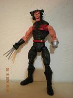 Aoa Weapon X (Marvel Legends) Custom Action Figure