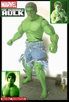 Lou Ferrigno Television's Incredible Hulk (Incredible Hulk) Custom Action Figure