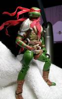 Raph of Persia (Teenage Mutant Ninja Turtles) Custom Action Figure