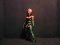 Cougar (Predator) Custom Action Figure
