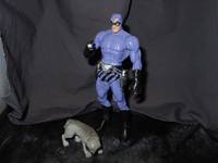 The Phantom (DC Universe) Custom Action Figure