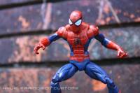 Amazing Spider-Man (Spider-Man: Shattered Dimensions) Custom Action Figure