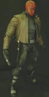 Red Hood (Batman) Custom Action Figure
