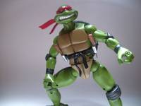TMNT Raph (Teenage Mutant Ninja Turtles) Custom Action Figure