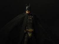Batman Inc. (DC Universe) Custom Action Figure