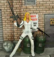 Shield Agent 13 Sharon Carter (Marvel Legends) Custom Action Figure