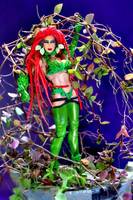 Poison Ivy (DC Universe) Custom Action Figure