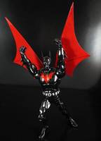 Batman beyond (with Wings) (DC Universe) Custom Action Figure