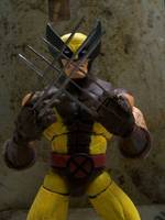 Wolverine (Marvel Legends) Custom Action Figure