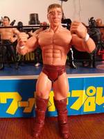 Daniel Bryan Danielson (Wrestling) Custom Action Figure
