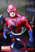 Giant-Man (Marvel Universe) Custom Action Figure