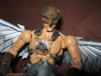 Movie Concept Hawkman (DC Universe) Custom Action Figure