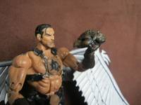 Movie Concept Hawkman (DC Universe) Custom Action Figure