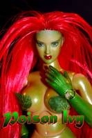 Poison Ivy 12" (DC Direct) Custom Action Figure