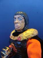 Serpent Lord,Leader of the Haradrim(LOTR,BOOK) (Mego) Custom Action Figure