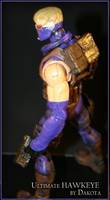 Ultimate Hawkeye (Marvel) Custom Action Figure