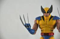 Wolverine (Marvel Legends) Custom Action Figure