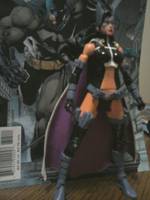 The Huntress (DC Universe) Custom Action Figure