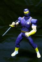 Ginzu the Ninja (Capcom Captain Commando) (Capcom) Custom Action Figure