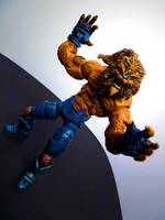 Sir Tyger (Marvel Legends) Custom Action Figure