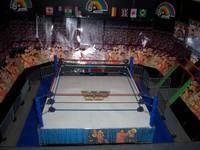 LJN Arena ( My Custom Arena !) (Wrestling) Custom Action Figure