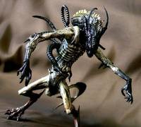 Alien Hybridz: Squidy Anatomica (Alien vs Predator) Custom Action Figure