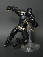 Black Panther Redesign (Marvel Legends) Custom Action Figure