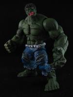 The Hulk - the Jade Giant (Marvel Universe) Custom Action Figure
