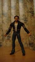 Logan (Marvel Select) Custom Action Figure
