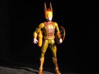 SC Qwardian Thunderer2 (DC Universe) Custom Action Figure