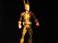 SC Qwardian Thunderer3 (DC Universe) Custom Action Figure