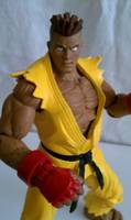 Street Fighter Sean (Street Fighter) Custom Action Figure
