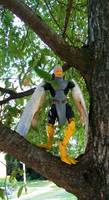 Races of Hyrule:  Rito (Legend of Zelda) Custom Action Figure
