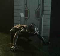 Black Panther (Avengers) Custom Action Figure
