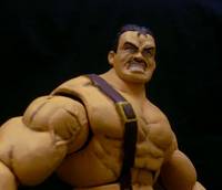 Haggar (Capcom Final Fight) (Capcom) Custom Action Figure