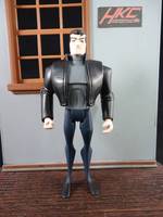Animated Bruce Wayne (Starcrossed the Movie) (Justice League) Custom Action Figure
