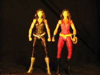 Donna Troy (DC Universe) Custom Action Figure