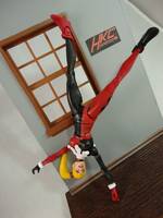 Unmasked Harley Quinn (Batman Animated) (DC Universe) Custom Action Figure