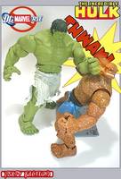 DC Universe...  HULK?! (DC Universe) Custom Action Figure
