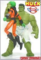 DC Universe...  HULK?! (DC Universe) Custom Action Figure