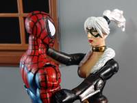 Black Cat & Spidey Web of Shadows Style (Marvel Universe) Custom Action Figure
