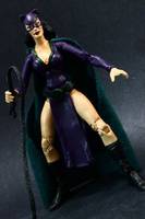 Silver Age Catwoman (Marvel Legends) Custom Action Figure