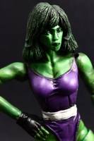 Classic She Hulk (Marvel Legends) Custom Action Figure