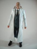Lex Luthor (DC Universe) Custom Action Figure