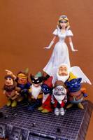 Snow White Queen & the Seven X-Men Dwarfs (Fantasy) Custom Miniature / Figurine