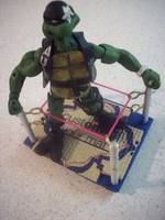 Stone Cold Turtle (Teenage Mutant Ninja Turtles) Custom Action Figure