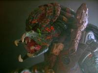 Berserker Repaint/Reuse (Predator) Custom Action Figure
