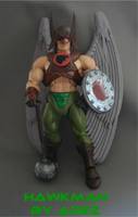 Motuc Hawkman V. 2 (Masters of the Universe) Custom Action Figure